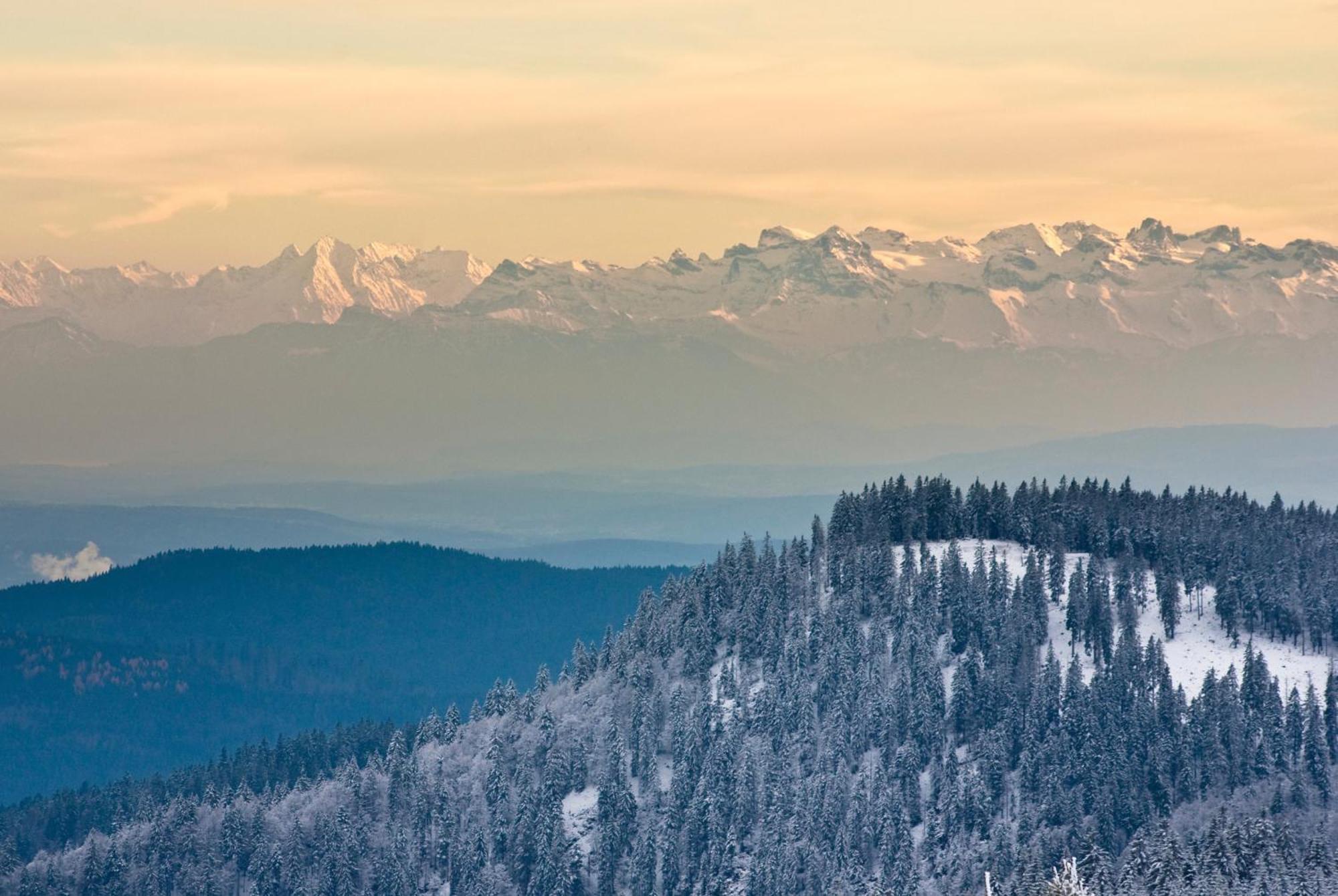 Rinken Residenz Grafenmatt "Abendsonne", Feldberg 아파트 외부 사진