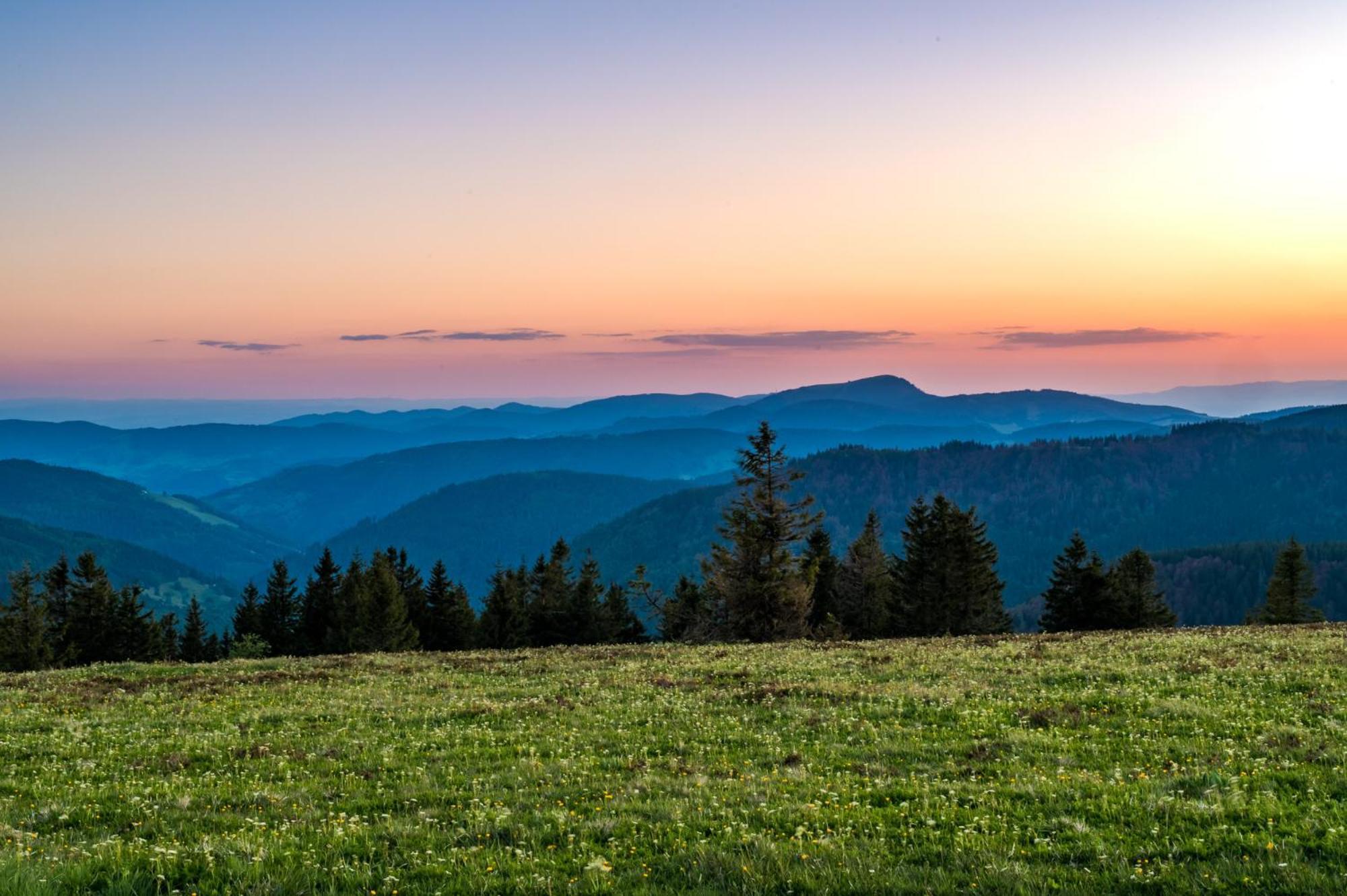 Rinken Residenz Grafenmatt "Abendsonne", Feldberg 아파트 외부 사진